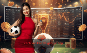 Cách vào kèo đá gà trực tiếp