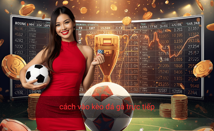 Cách vào kèo đá gà trực tiếp: 5 bước thắng lớn cho người mới 2 Cách vào kèo đá gà trực tiếp